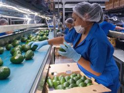 Buscarán que los grandes empresarios de ambos estados apoyen a los pequeños empresarios, lo que fortalecerá las cadenas de producción. NTX/ARCHIVO