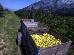 Los recursos del bono financiarán proyectos elegibles de los sectores de agua, educación, salud, energía e infraestructura. EFE/M. Sierra