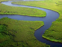 Este congreso se celebra normalmente cada cuatro años con el fin de que gobiernos, oenegés y expertos renueven las prioridades internacionales para proteger los ecosistemas. TWITTER / @IUCN