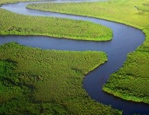 Este congreso se celebra normalmente cada cuatro años con el fin de que gobiernos, oenegés y expertos renueven las prioridades internacionales para proteger los ecosistemas. TWITTER / @IUCN