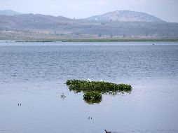 México tiene hasta el 24 de octubre para pagar su deuda de agua. EL INFORMADOR/Archivo