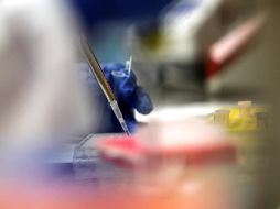 Advierten que, con la reducción del presupuesto, el Gobierno federal no cuenta con reservas para adquirir las dosis. EFE/ARCHIVO