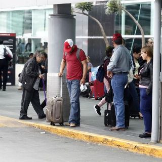 Reducen 19% presencia de moscos en el Aeropuerto de Guadalajara