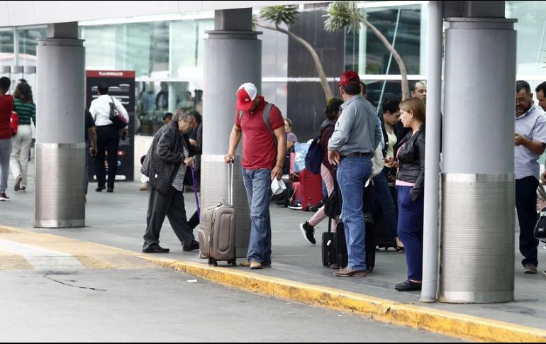 El Aeropuerto de Guadalajara realiza labores coordinadas con los gobiernos municipales de Tlajomulco y El Salto para controlar esta plaga. EL INFORMADOR/ARCHIVO