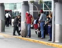 El Aeropuerto de Guadalajara realiza labores coordinadas con los gobiernos municipales de Tlajomulco y El Salto para controlar esta plaga. EL INFORMADOR/ARCHIVO