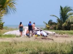 Una mujer herida fue trasladada a un hospital para su mejor atención. TWITTER/@VivoNoticiasVer