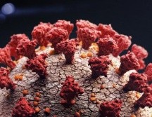 La pandemia del coronavirus ha causado millones de muertes a nivel mundial.