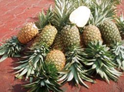 La piña es rica en vitaminas A, C, K, B6 y ácido fólico, así como sodio, potasio, calcio, magnesio, hierro, y manganeso. NTX / ARCHIVO