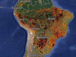 Global Forest Watch