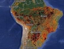 Global Forest Watch