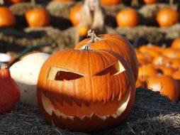 Recomiendan la realización de actividades vía remota o al aire libre guardando la sana distancia. AP/ARCHIVO