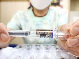 Hay siete vacunas contra virus que pretenden estudios con México