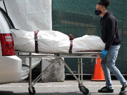 La curva de fallecidos diarios se reduce lentamente en el continente americano. AFP/ARCHIVO