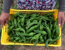 La imprescindibilidad de los productos alimenticios mantuvo fuerte su producción y distribución. EFE/M. Messara