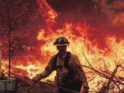 RÉCORD- La temporada ha dejado los mayores fuegos en ese Estado. AFP