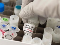 Ebrard anunció que la AMEXID financiará 19 proyectos que se llevan a cabo en México en vacunas, tratamientos y pruebas para hacer frente al coronavirus. AFP / ARCHIVO