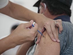 La aplicación es prioritaria para grupos de riesgo (embarazadas, adultos mayores, personas con enfermedades crónicas-metabólicas). EL INFORMADOR/F. Atilano