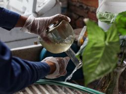 Las brigadas de “Vectores y Zoonosis” y “Patio Limpio” de la SSJ continúan realizando acciones de combate del mosquito transmisor. ESPECIAL/SSJ