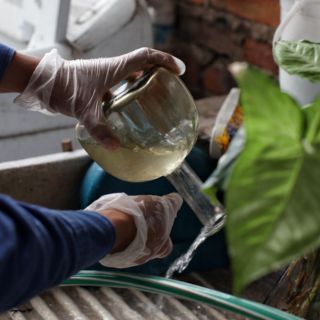 Dengue en Jalisco: Suman dos mil 905 los casos confirmados