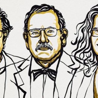 El Premio Nobel de Física, para tres expertos de los agujeros negros