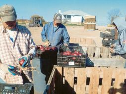 RESPALDO. Las transacciones de los mexicanos que viven en Estados Unidos han crecido, pese a la pandemia del COVID-19 y el endurecimiento de las políticas migratorias. SUN / ARCHIVO