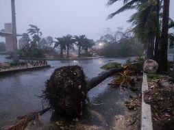 ''Delta'' tocó tierra la mañana de este martes como huracán categoría 2, en Puerto Morelos, Quintana Roo. AP / V. Ruiz