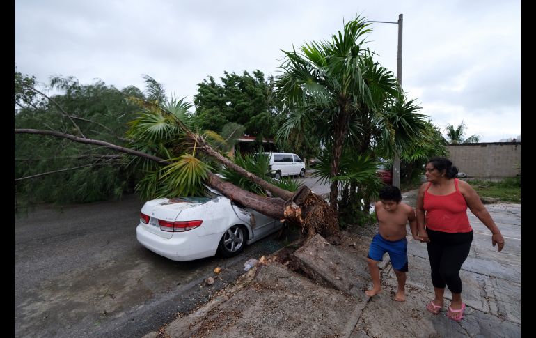 Habitantes pasan frente a un vehículo dañado por un árbol caído tras el paso del 