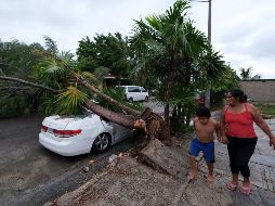 Huracán "Delta": las imágenes tras su paso por Quintana Roo