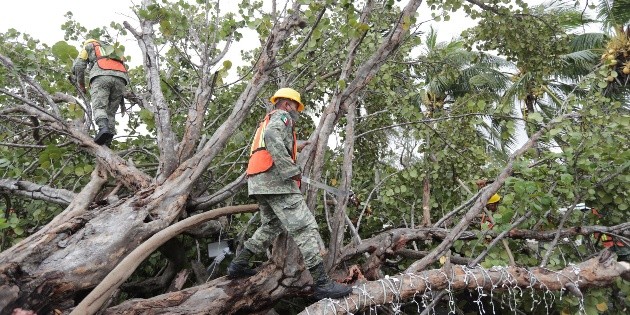 Las + Informador: Las noticias del 7 de octubre de 2020