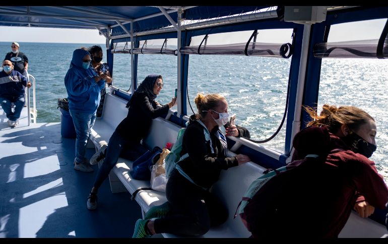 Personas en un bote turístico aguardan para ver ballenas en alrededor de Nueva York. AP/C. Ruttle
