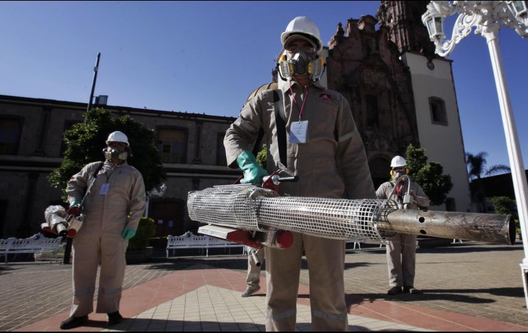 Los contagios de la enfermedad transmitida por el mosquito Aedes aegypti se han presentado en 79 de los 125 municipios del estado. ESPECIAL/SSJ