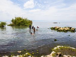 El agua contaminada que el río Lerma lleva al lago de Chapala ha sido señalada como fuente de peligro para los habitantes de la zona. EL INFORMADOR/Archivo