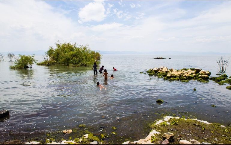 El agua contaminada que el río Lerma lleva al lago de Chapala ha sido señalada como fuente de peligro para los habitantes de la zona. EL INFORMADOR/Archivo