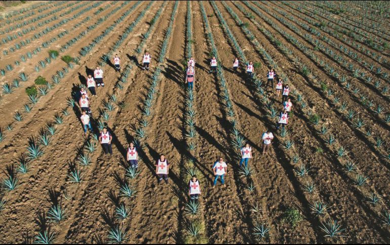 Paisaje agavero. Esta belleza será el escenario del evento “Reactivando con Tequila”. ESPECIAL