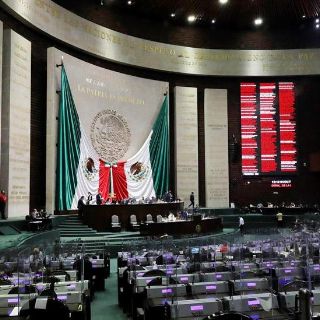 Más de 60 ONG's piden al Senado no extinguir fideicomisos