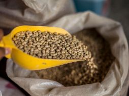 El presidente de la CCI indicó que algunos productos que encabezan la variación de precios son el tomate verde (49.7%), arroz (47.6%), limón (46.24%), frijol (44.4%) y lentejas (42%). EL INFORMADOR / ARCHIVO