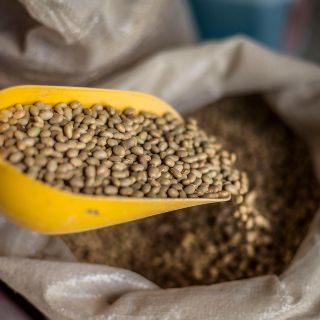 Canasta básica alimentaria aumentó 50% el último trimestre