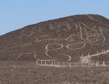 El felino fue descubierto a inicios de 2020. EPA