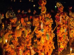 Los pétalos de la flor de cempasúchil presentan un alto contenido de carotenoides, los cuales son antioxidantes, que reducen el envejecimiento de las células y los efectos de la edad. EL INFORMADOR / ARCHIVO