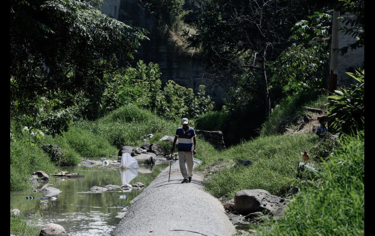 EL INFORMADOR/G. Gallo