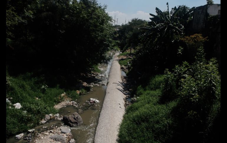 EL INFORMADOR/G. Gallo