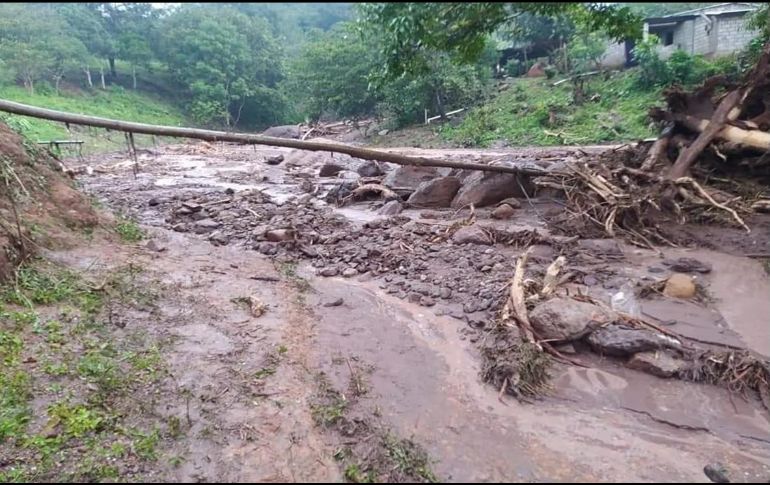 El lodo dañó áreas de cultivo en el ejido Plan de Ayutla, así como animales de corral. ESPECIAL