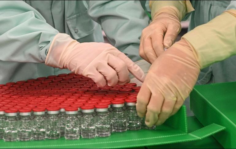 El experto aseguró que las primeras vacunas serían para personas con mayores riesgos de sufrir complicaciones o personal sanitario. AFP / ARCHIVO