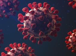 El coronavirus afecta más a unos organismos que a otros y los expertos empiezan a conocer las razones. GETTY IMAGES