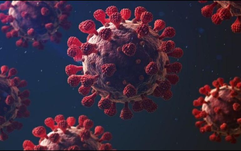 El coronavirus afecta más a unos organismos que a otros y los expertos empiezan a conocer las razones. GETTY IMAGES