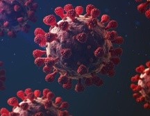 El coronavirus afecta más a unos organismos que a otros y los expertos empiezan a conocer las razones. GETTY IMAGES