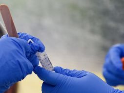 Ya no se permitirá el acceso a las sesiones de Pleno a quienes no tengan su prueba de hisopo actualizada. AFP/ARCHIVO