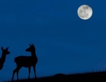 El mejor momento para ver la 