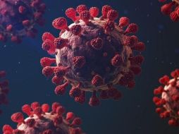 ¿Será el SARS-CoV-2 uno más de la larga lista de virus endémicos que afectan a los humanos?. GETTY IMAGES