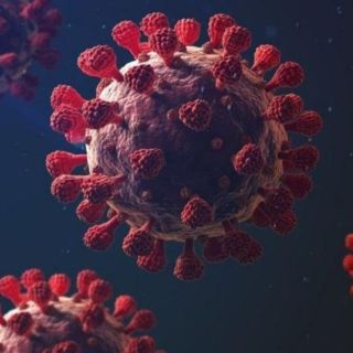 Coronavirus: ¿puede el covid-19 convertirse en un virus endémico?
